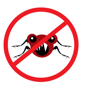 no bedbugs