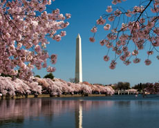 Washington DC ann monument