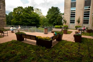Green Roof on Cornell's Mann Library