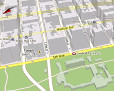 Google Map 3-d image of NYC