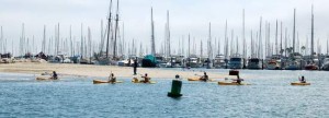 Kayaking in the Santa Barbara Harbor