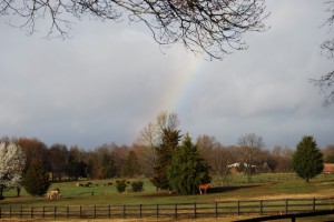 A peaceful view at the farm.