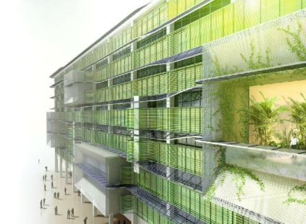 Algae Architecture