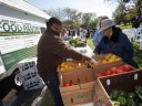 Island Harvest produce distribution