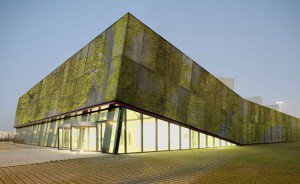 Living concrete - this cement grows moss and lichen, with irrigation from stormwater runoff. Image via urbangardensweb.com