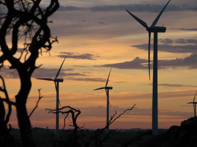 Canunda Wind Farm