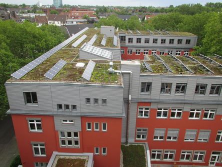 Glorious Green Roofs