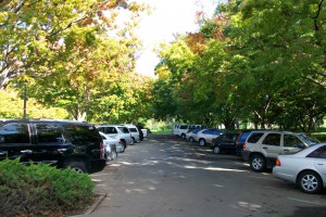 Parking lot with trees. Source IMS