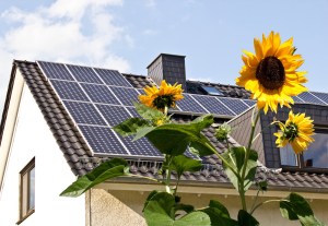 insuring solar panels in multifamily housing