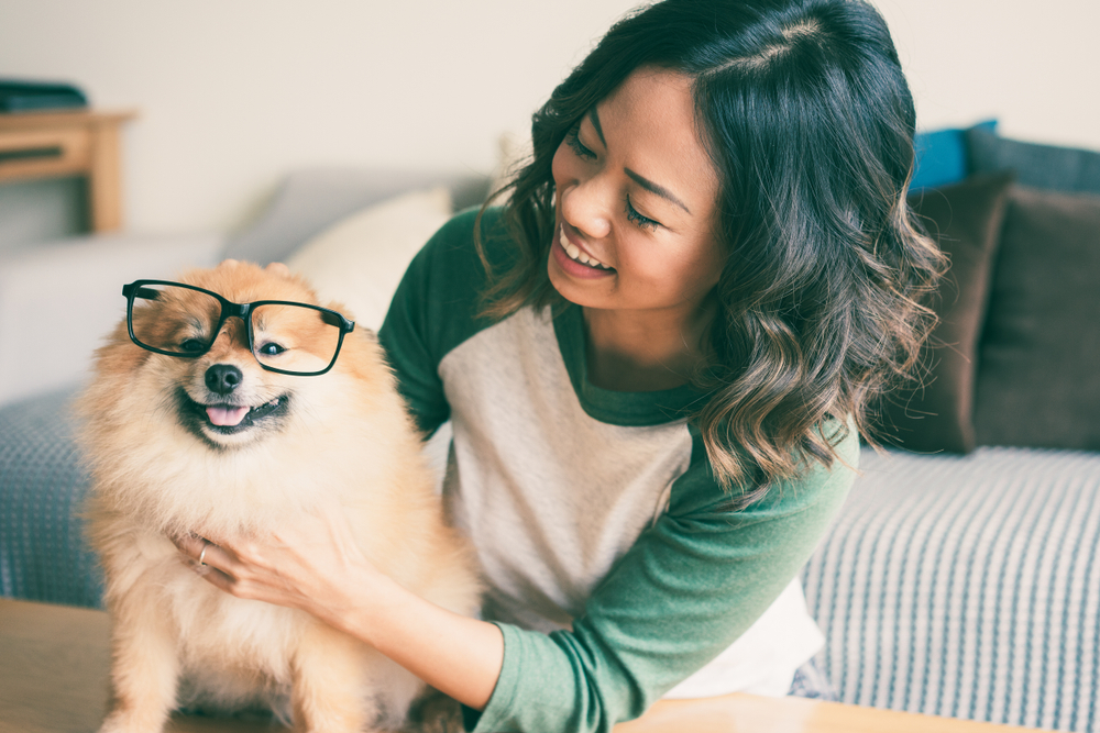 Pets & Service Animals