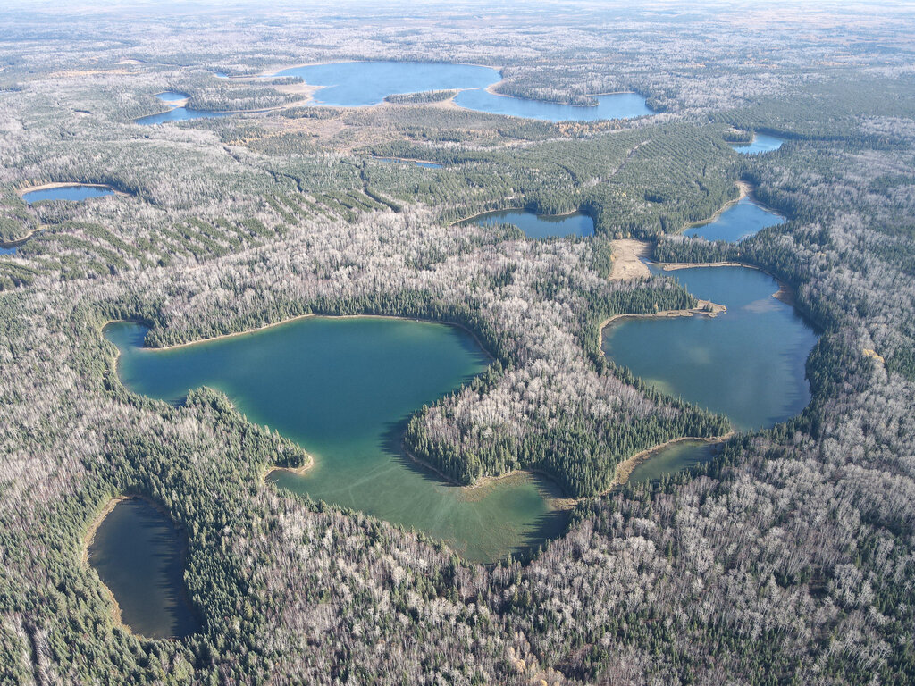 Canadian Conservation