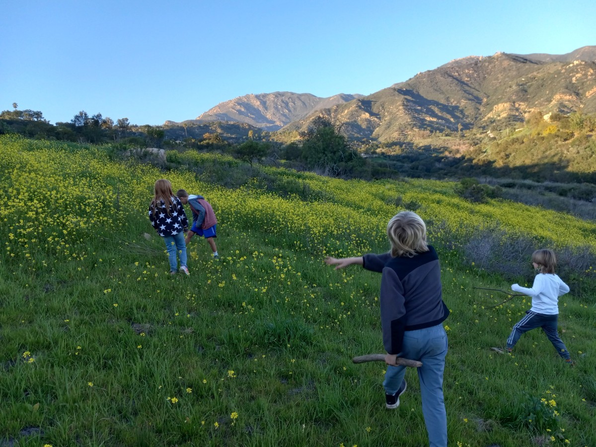 Children, forest, landscape, outdoors, healthy, nature, happy, exploring