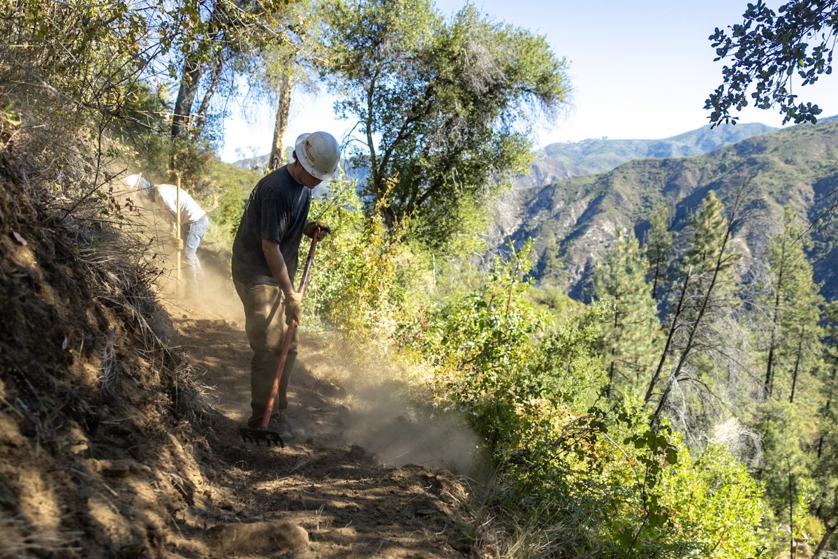 Person cleaning forest in California