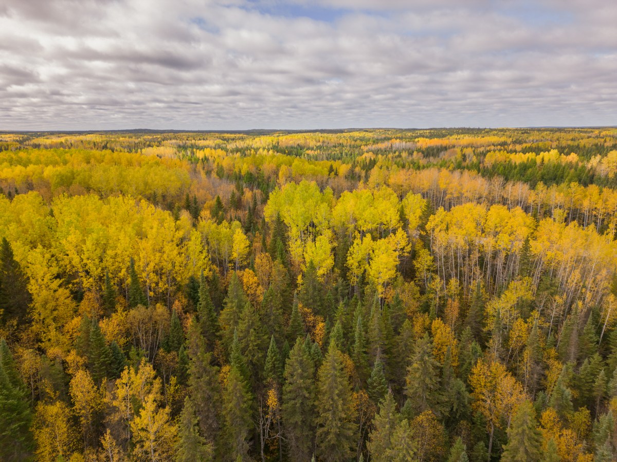 The Nature Conservancy of Canada - Yardi Corporate Blog