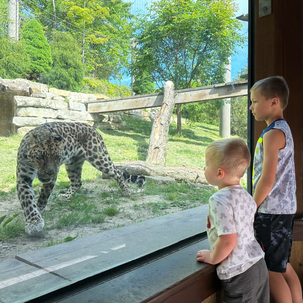 Cleveland Zoological Society