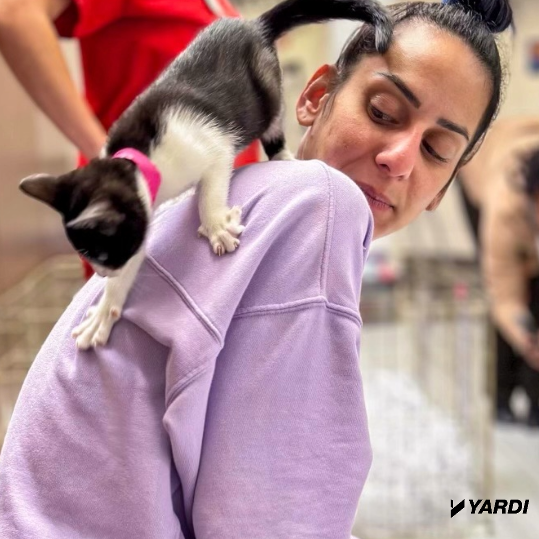 Team Yardi with kitten and operation kindness