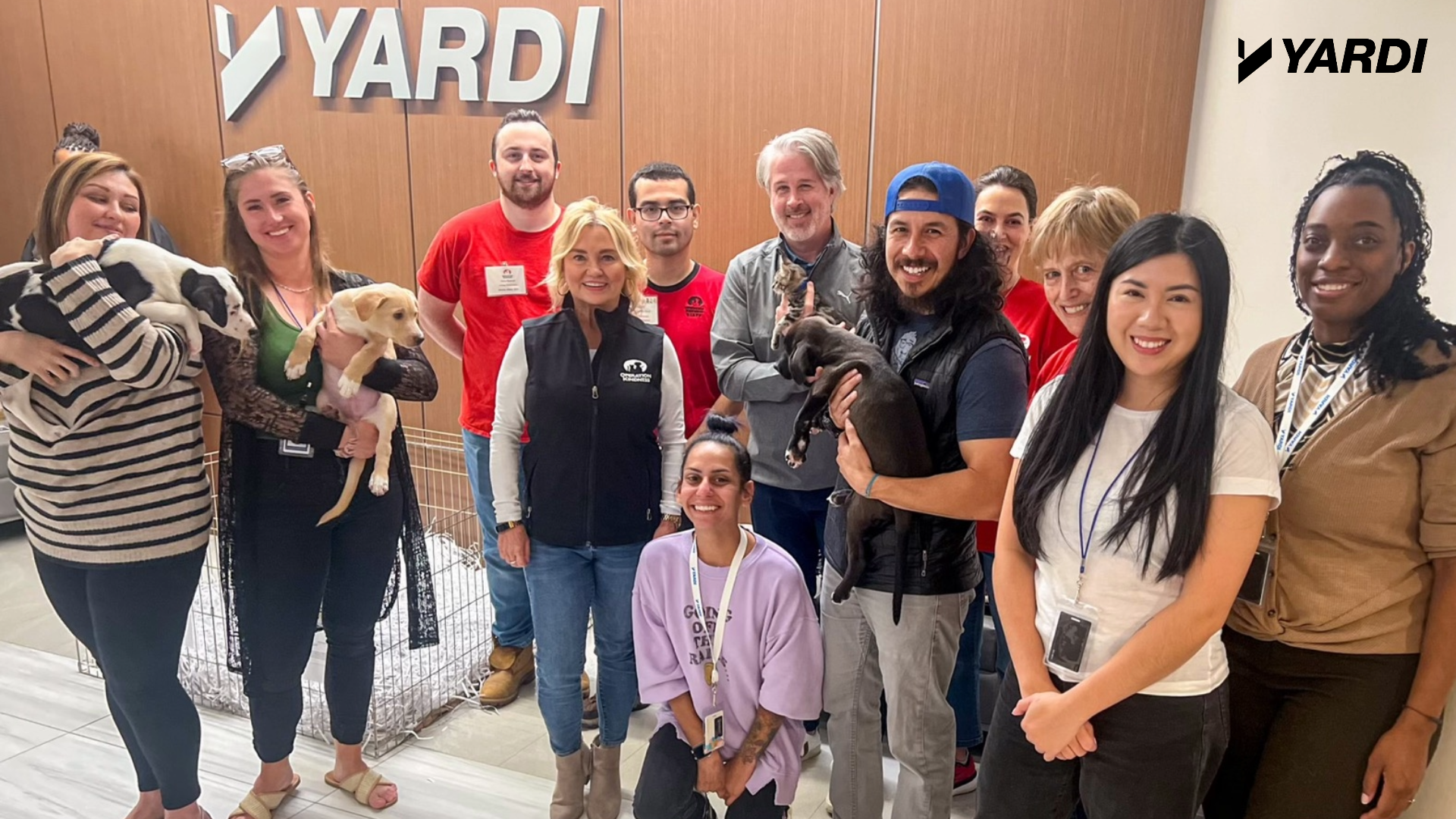 TeamYardi and Operation Kindness with puppies and kittens