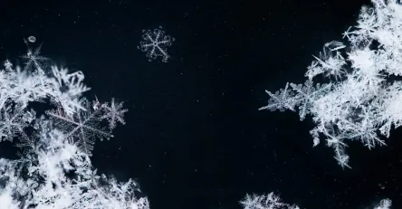Science of Snowflakes