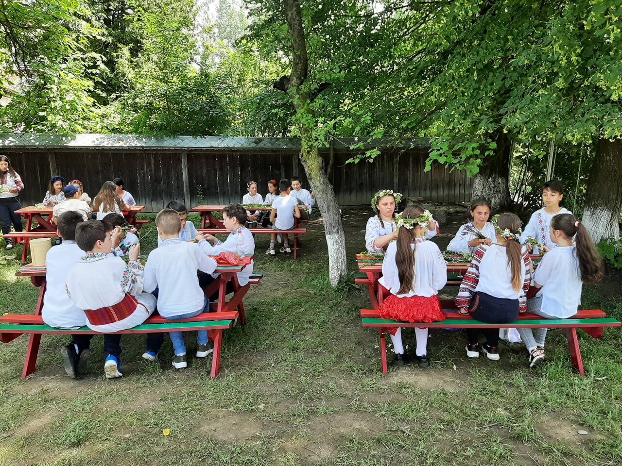 Children of Life Education Cluj