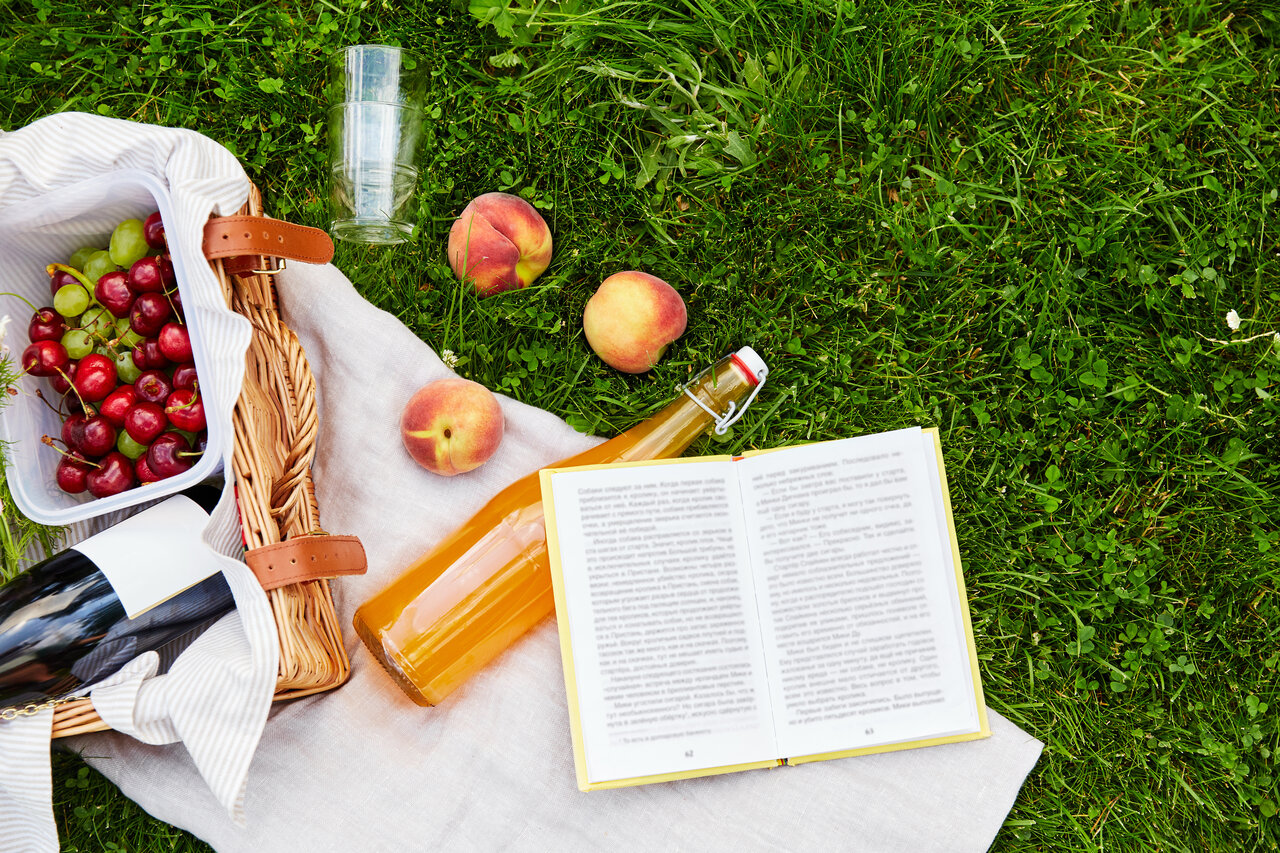 Picnic in the summer with a book and seasonal fruits