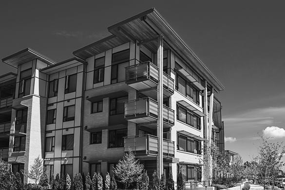Fannie Mae Reporting