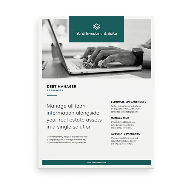 Debt Manager - Borrowers Brochure